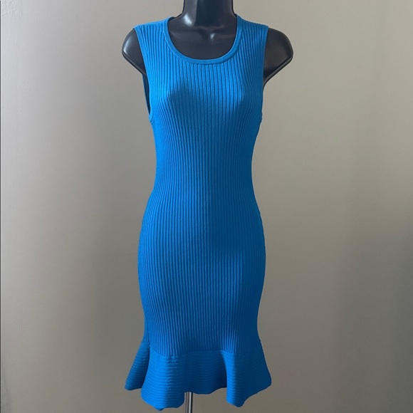 PARKER Lynn Ruffle Skirt Knit Dress Women's Size XS Blue - Picture 5 of 16